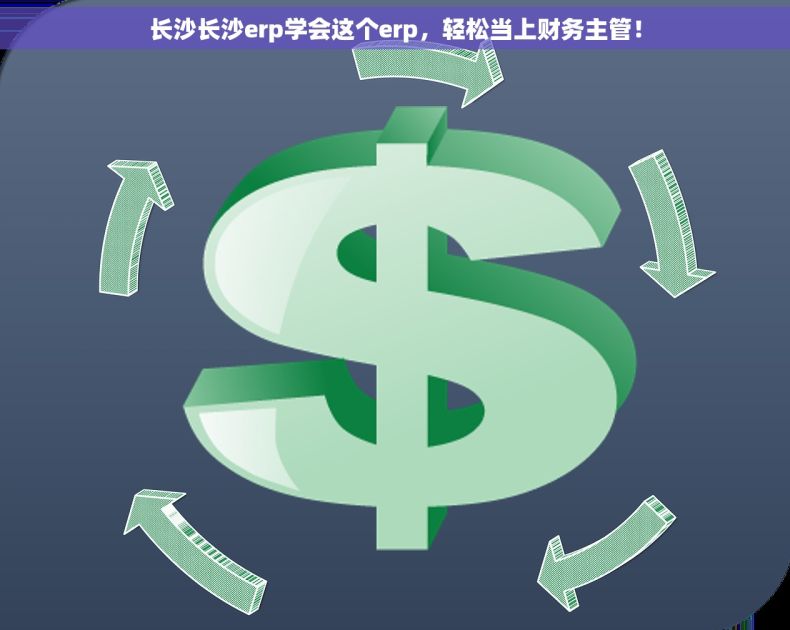长沙长沙erp学会这个erp，轻松当上财务主管！