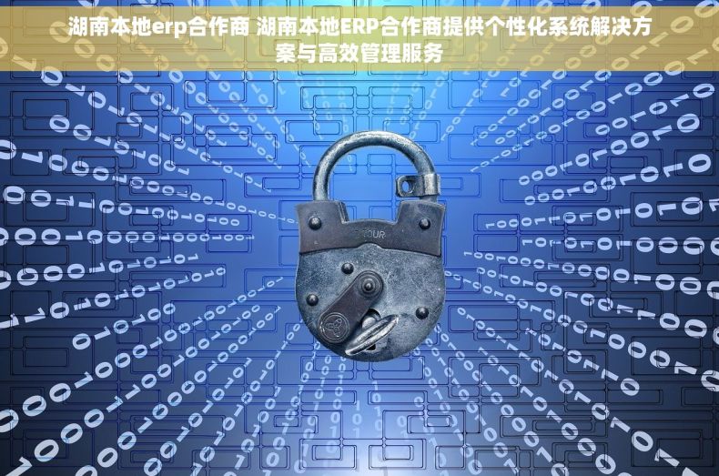 湖南本地erp合作商 湖南本地ERP合作商提供个性化系统解决方案与高效管理服务
