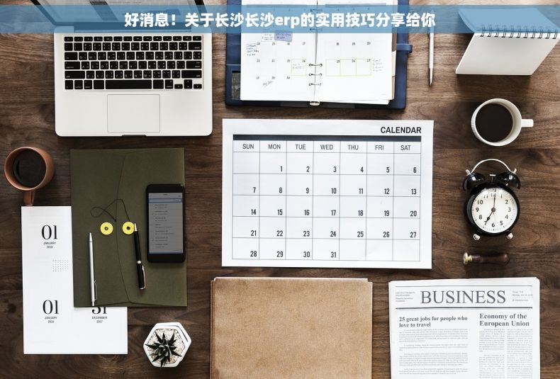 好消息！关于长沙长沙erp的实用技巧分享给你