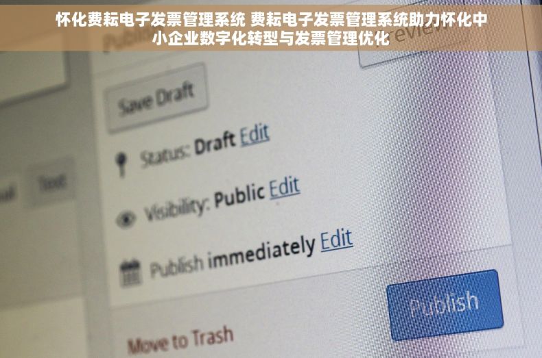 怀化费耘电子发票管理系统 费耘电子发票管理系统助力怀化中小企业数字化转型与发票管理优化