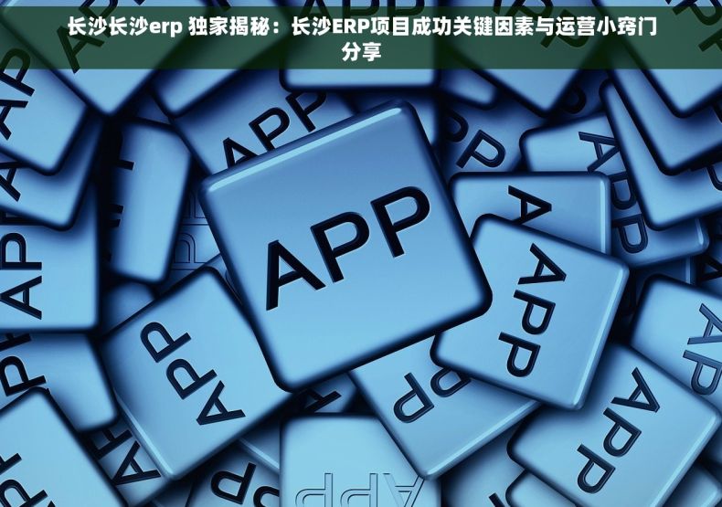 长沙长沙erp 独家揭秘：长沙ERP项目成功关键因素与运营小窍门分享