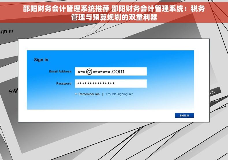 邵阳财务会计管理系统推荐 邵阳财务会计管理系统：税务管理与预算规划的双重利器
