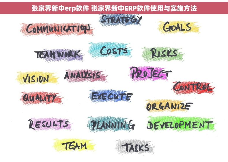 张家界新中erp软件 张家界新中ERP软件使用与实施方法