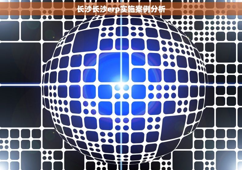 长沙长沙erp实施案例分析