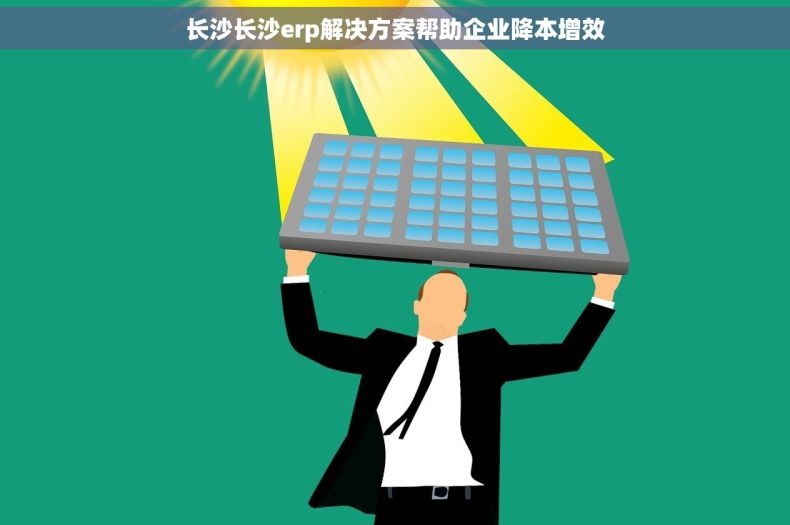 长沙长沙erp解决方案帮助企业降本增效