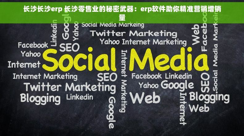 长沙长沙erp 长沙零售业的秘密武器：erp软件助你精准营销增销量