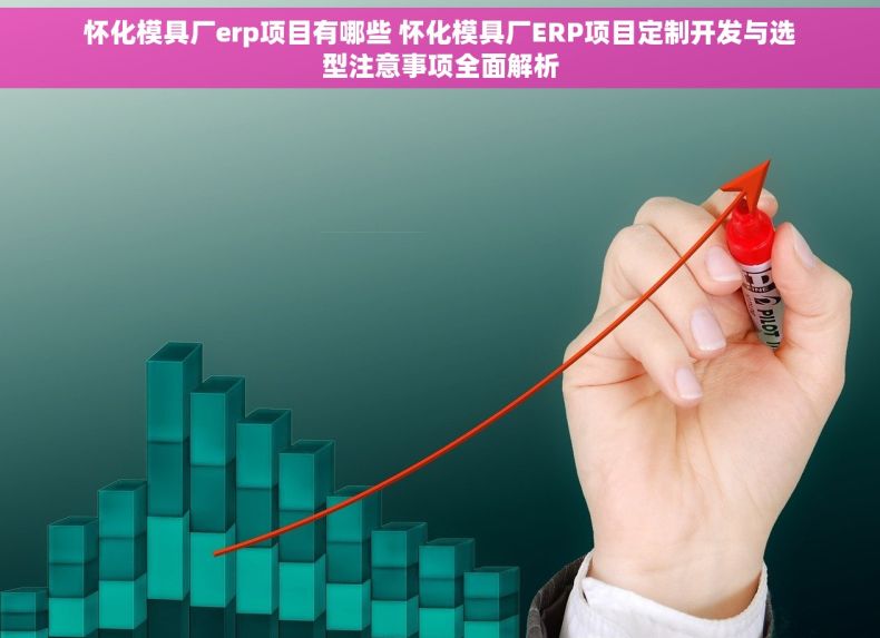 怀化模具厂erp项目有哪些 怀化模具厂ERP项目定制开发与选型注意事项全面解析