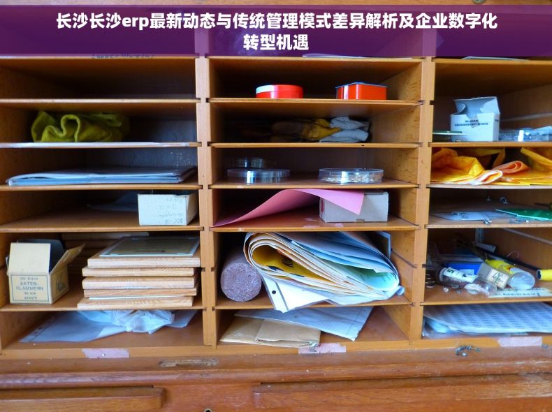 长沙长沙erp最新动态与传统管理模式差异解析及企业数字化转型机遇