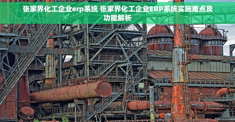 张家界化工企业erp系统 张家界化工企业ERP系统实施难点及功能解析