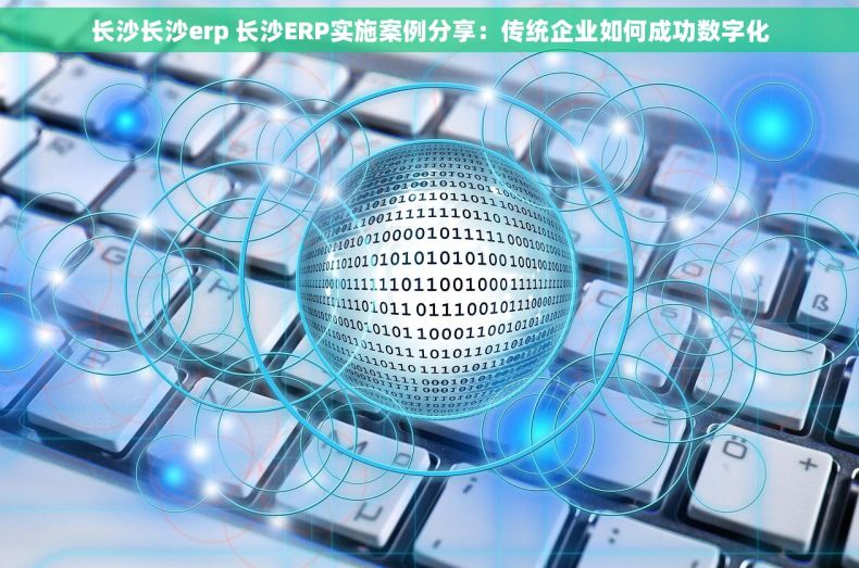长沙长沙erp 长沙ERP实施案例分享：传统企业如何成功数字化