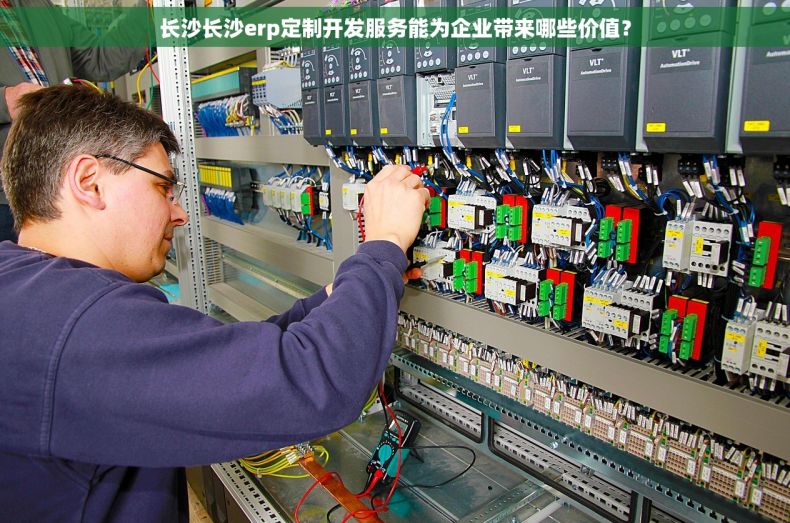 长沙长沙erp定制开发服务能为企业带来哪些价值？