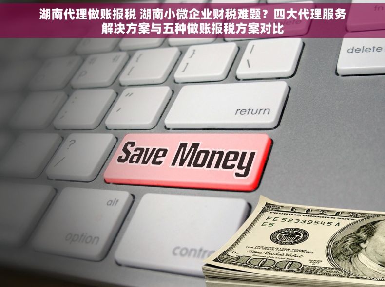 湖南代理做账报税 湖南小微企业财税难题？四大代理服务解决方案与五种做账报税方案对比