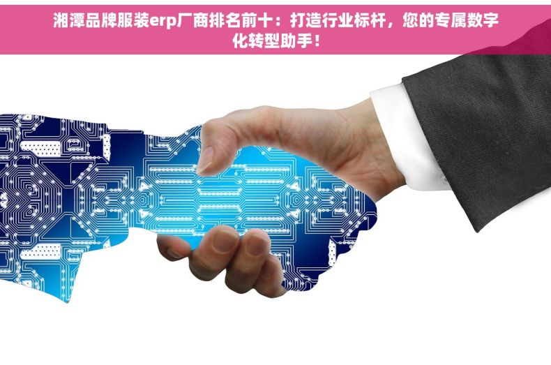 湘潭品牌服装erp厂商排名前十：打造行业标杆，您的专属数字化转型助手！
