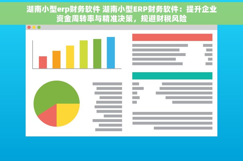 湖南小型erp财务软件 湖南小型ERP财务软件：提升企业资金周转率与精准决策，规避财税风险