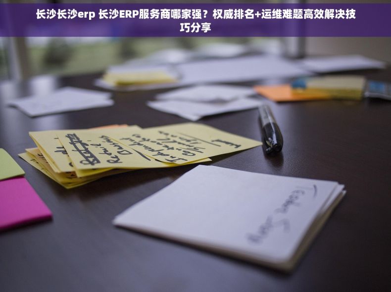 长沙长沙erp 长沙ERP服务商哪家强？权威排名+运维难题高效解决技巧分享
