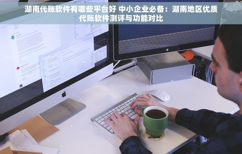 湖南代账软件有哪些平台好 中小企业必备：湖南地区优质代账软件测评与功能对比