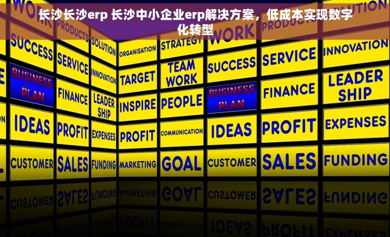长沙长沙erp 长沙中小企业erp解决方案，低成本实现数字化转型