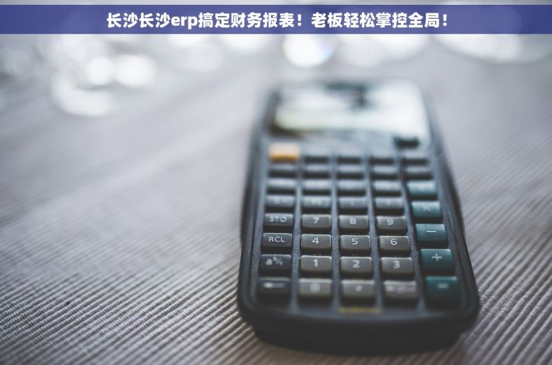 长沙长沙erp搞定财务报表！老板轻松掌控全局！