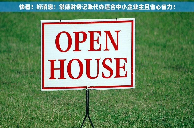 快看！好消息！常德财务记账代办适合中小企业主且省心省力！