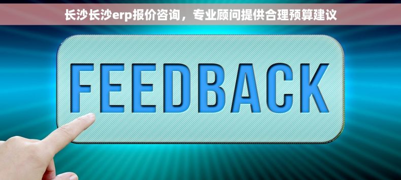 长沙长沙erp报价咨询，专业顾问提供合理预算建议