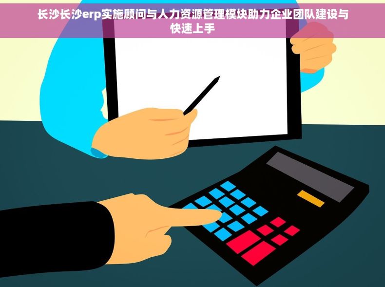 长沙长沙erp实施顾问与人力资源管理模块助力企业团队建设与快速上手