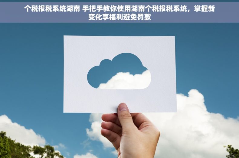 个税报税系统湖南 手把手教你使用湖南个税报税系统，掌握新变化享福利避免罚款