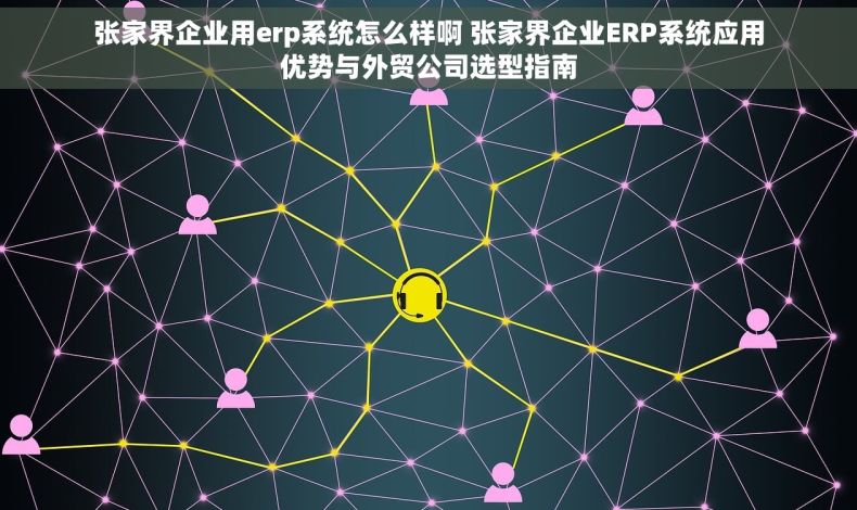 张家界企业用erp系统怎么样啊 张家界企业ERP系统应用优势与外贸公司选型指南