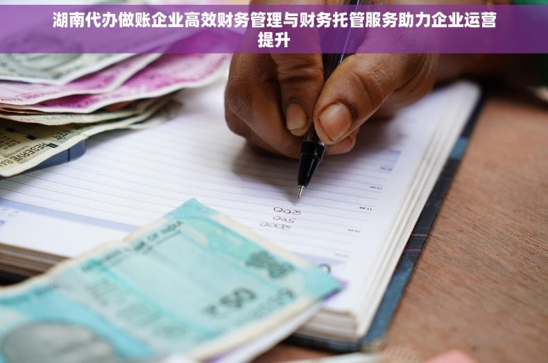 湖南代办做账企业高效财务管理与财务托管服务助力企业运营提升