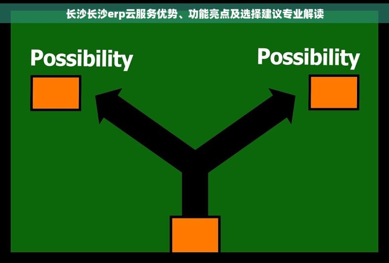 长沙长沙erp云服务优势、功能亮点及选择建议专业解读