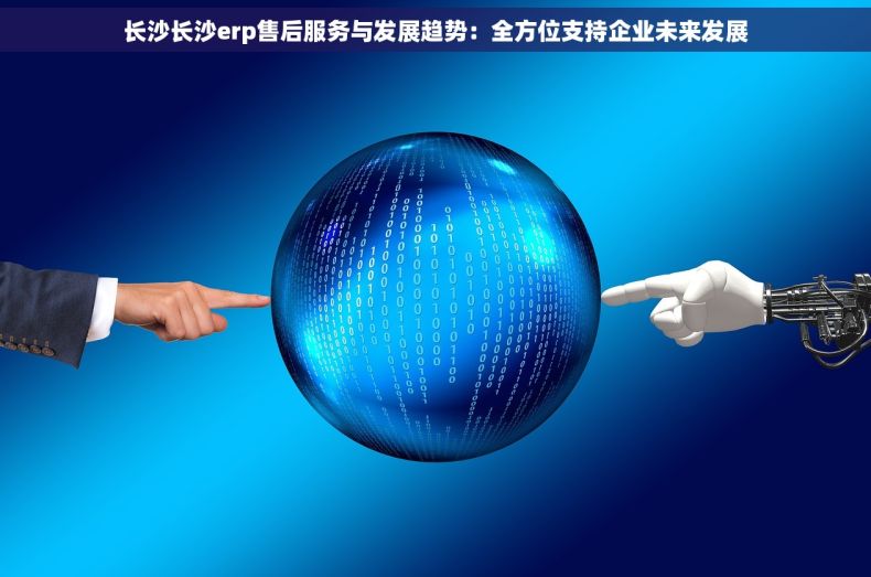 长沙长沙erp售后服务与发展趋势：全方位支持企业未来发展