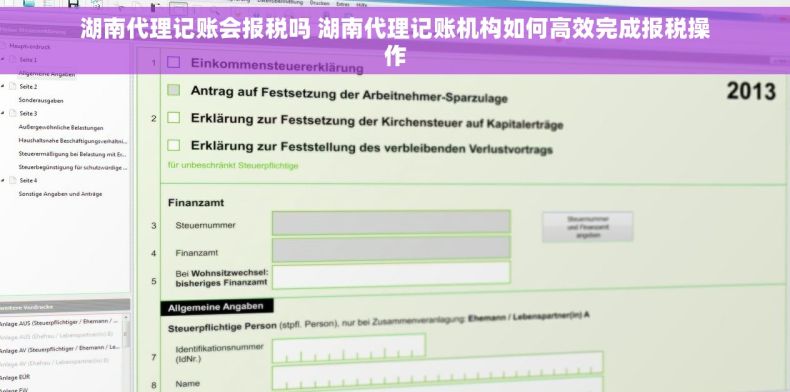 湖南代理记账会报税吗 湖南代理记账机构如何高效完成报税操作