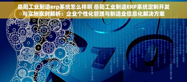 岳阳工业制造erp系统怎么样啊 岳阳工业制造ERP系统定制开发与实施案例解析：企业个性化管理与制造业信息化解决方案