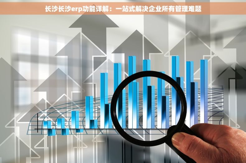 长沙长沙erp功能详解：一站式解决企业所有管理难题