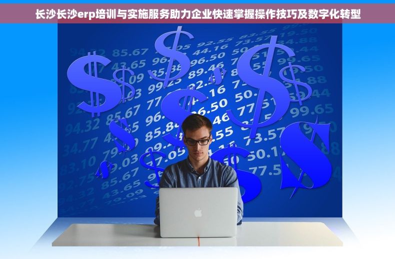 长沙长沙erp培训与实施服务助力企业快速掌握操作技巧及数字化转型