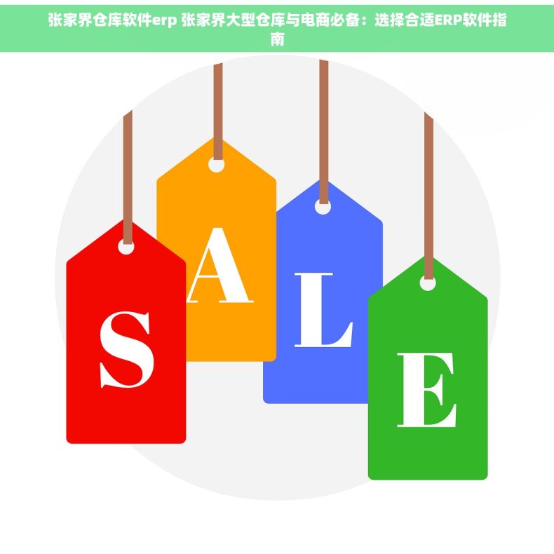 张家界仓库软件erp 张家界大型仓库与电商必备：选择合适ERP软件指南