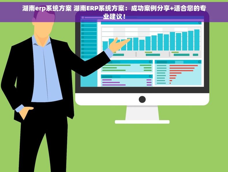 湖南erp系统方案 湖南ERP系统方案：成功案例分享+适合您的专业建议！