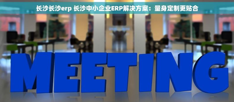 长沙长沙erp 长沙中小企业ERP解决方案：量身定制更贴合
