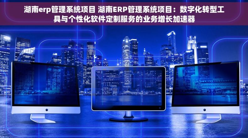 湖南erp管理系统项目 湖南ERP管理系统项目：数字化转型工具与个性化软件定制服务的业务增长加速器
