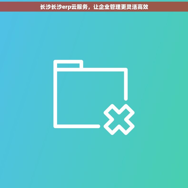 长沙长沙erp云服务，让企业管理更灵活高效