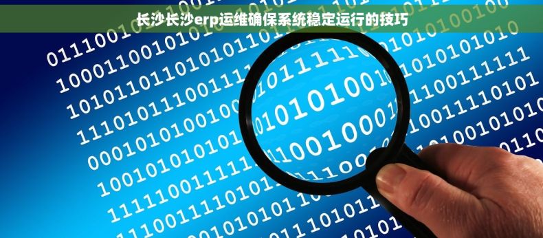 长沙长沙erp运维确保系统稳定运行的技巧