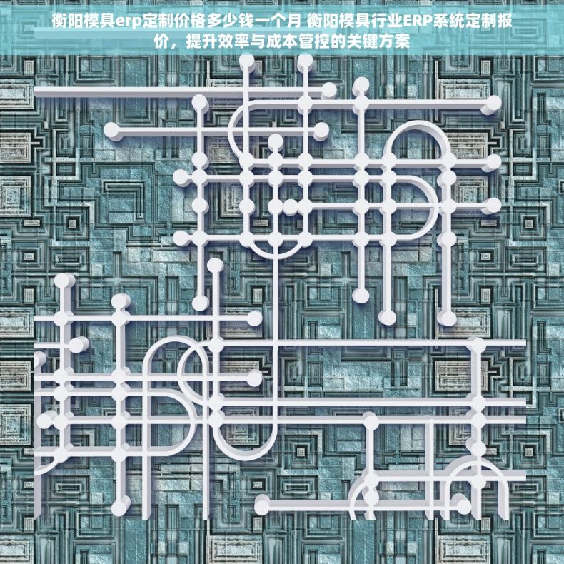 衡阳模具erp定制价格多少钱一个月 衡阳模具行业ERP系统定制报价，提升效率与成本管控的关键方案
