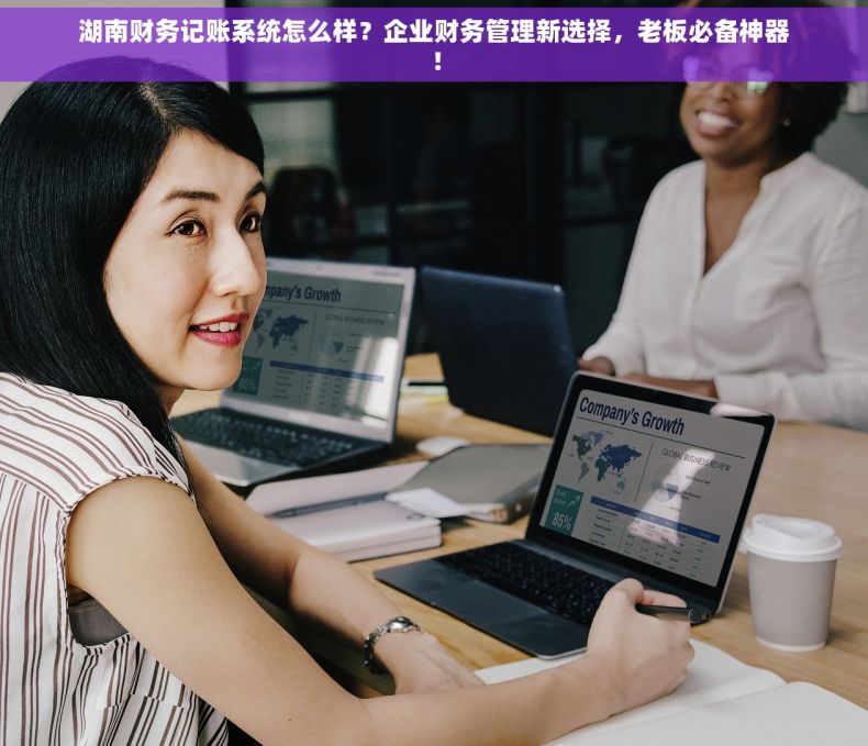 湖南财务记账系统怎么样？企业财务管理新选择，老板必备神器！