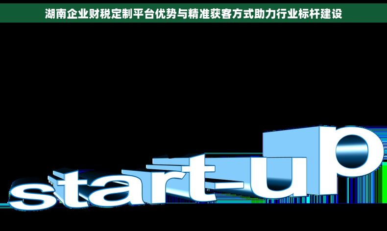 湖南企业财税定制平台优势与精准获客方式助力行业标杆建设