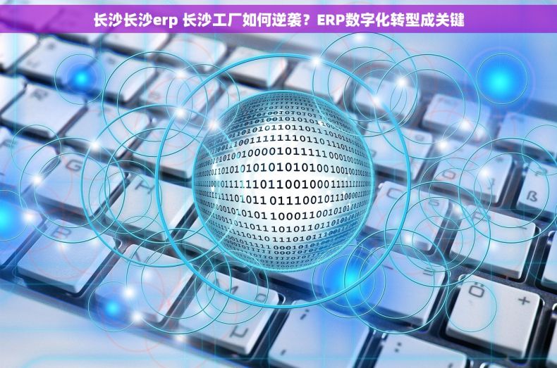 长沙长沙erp 长沙工厂如何逆袭？ERP数字化转型成关键