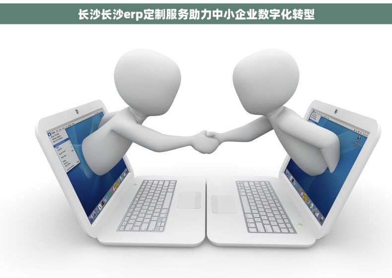 长沙长沙erp定制服务助力中小企业数字化转型