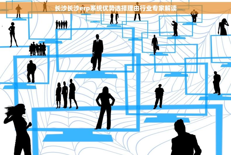 长沙长沙erp系统优势选择理由行业专家解读