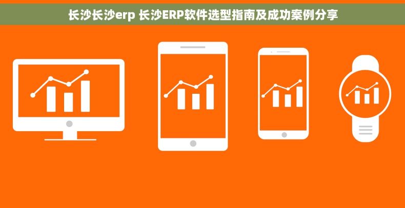 长沙长沙erp 长沙ERP软件选型指南及成功案例分享