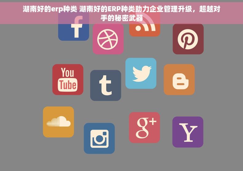 湖南好的erp种类 湖南好的ERP种类助力企业管理升级，超越对手的秘密武器