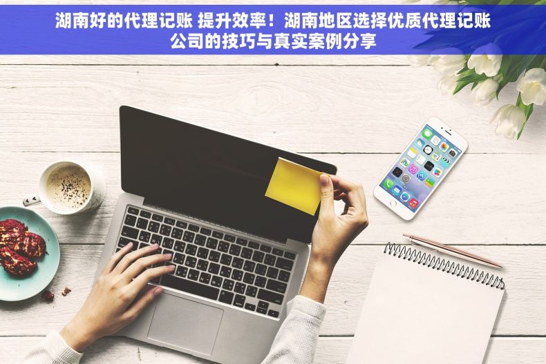 湖南好的代理记账 提升效率！湖南地区选择优质代理记账公司的技巧与真实案例分享