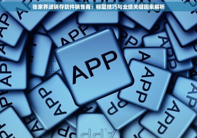 张家界进销存软件销售商：标题技巧与业绩关键因素解析